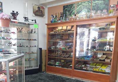 Psychedelic Wizard Smoke Shop