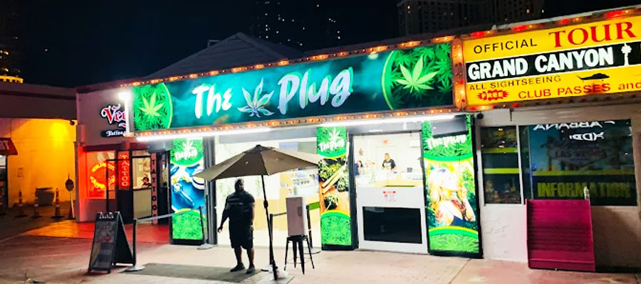 The Plug